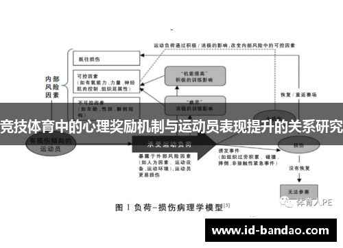 竞技体育中的心理奖励机制与运动员表现提升的关系研究