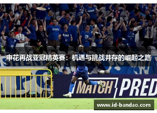 申花再战亚冠精英赛：机遇与挑战并存的崛起之路