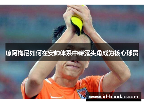 琼阿梅尼如何在安帅体系中崭露头角成为核心球员