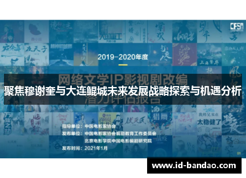 聚焦穆谢奎与大连鲲城未来发展战略探索与机遇分析