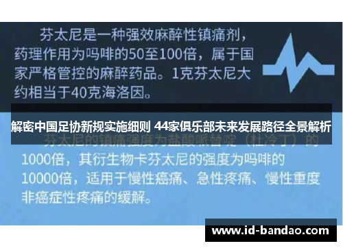 解密中国足协新规实施细则 44家俱乐部未来发展路径全景解析