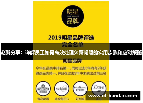 赵鹏分享：详解员工如何高效处理欠薪问题的实用步骤和应对策略